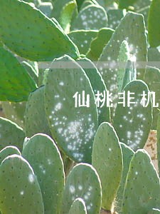 仙桃非机动车交通肇事诉讼流程 仙桃非机动车交通肇事诉讼流程