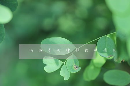 仙游专职律师招聘信息 仙游专职律师招聘信息