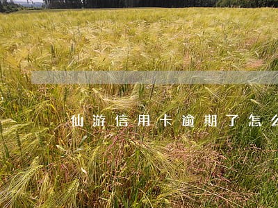 仙游信用卡逾期了怎么办理