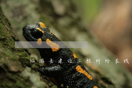 仙游县建设工程纠纷在线律师 仙游县建设工程纠纷在线律师