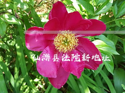 仙游县法院新地址 仙游县法院新地址