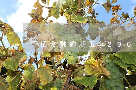仟佰金融逾期五年2000多 仟佰金融逾期五年2000多