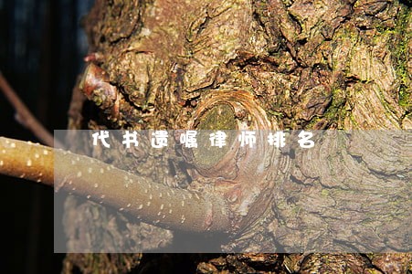 代书遗嘱律师排名