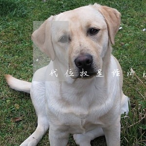 代位权是经济法哪张的内容 代位权是经济法哪张的内容