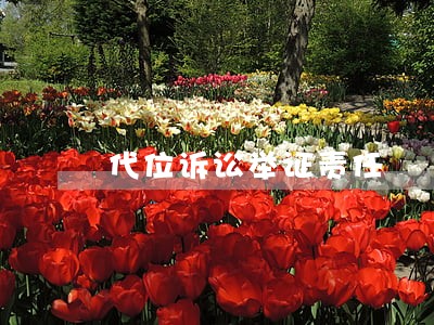 代位诉讼举证责任 代位诉讼举证责任