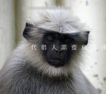 代借人需要负法律责任