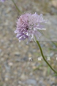 代做法律顾问投标书价格 代做法律顾问投标书价格