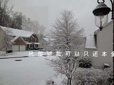 代偿贷款可以只还本金 代偿贷款可以只还本金