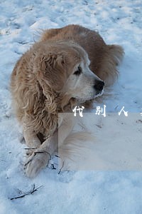 代别人卖电动车违法吗 代别人卖电动车违法吗