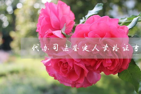 代办司法鉴定人资格证书