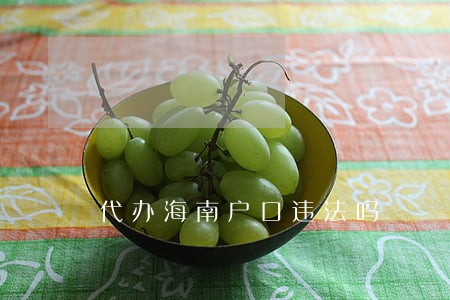 代办海南户口违法吗 代办海南户口违法吗