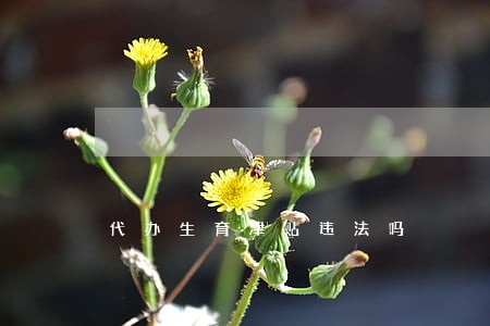 代办生育津贴违法吗 代办生育津贴违法吗