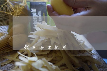 代办营业执照