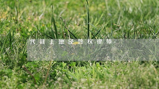 代县土地经营权律师 代县土地经营权律师