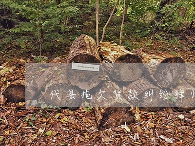 代县拖欠货款纠纷律师