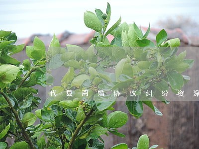 代县离婚协议纠纷资深律师 代县离婚协议纠纷资深律师