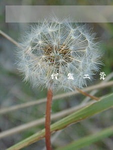 代发工资违法么 代发工资违法么