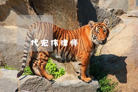 代宏伟律师 代宏伟律师
