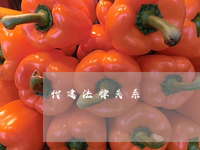 代建法律关系 代建法律关系