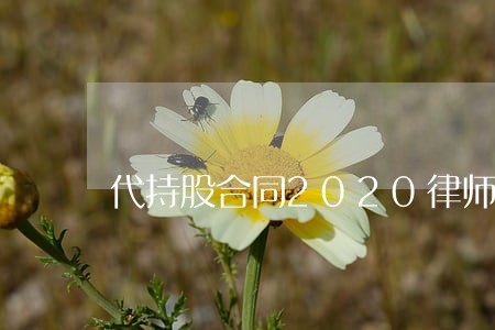 代持股合同2020律师整理版 代持股合同2020律师整理版
