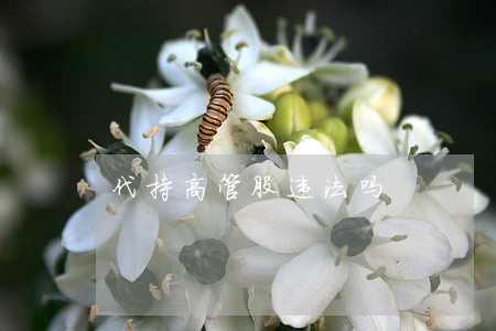 代持高管股违法吗