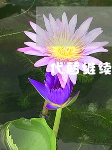 代替继续教育违法吗 代替继续教育违法吗