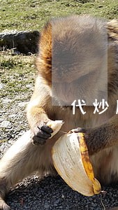 代炒股如何不违法 代炒股如何不违法