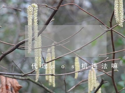 代理pos机违法嘛 代理pos机违法嘛