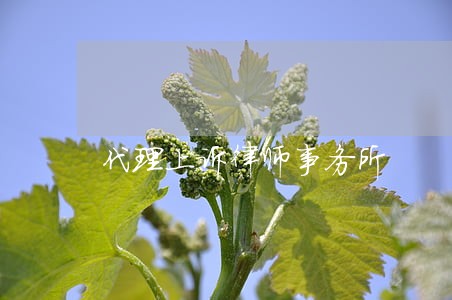 代理上诉律师事务所 代理上诉律师事务所