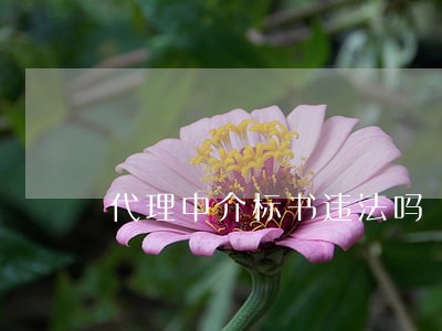 代理中介标书违法吗