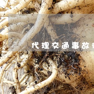 代理交通事故律师价格 代理交通事故律师价格