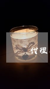 代理人在法律中的定义 代理人在法律中的定义