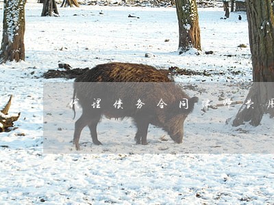 代理债务合同律师费用 代理债务合同律师费用