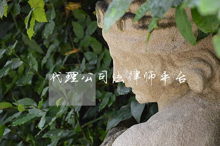 代理公司法律师平台 代理公司法律师平台