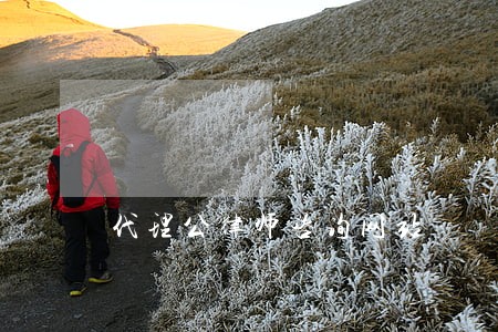 代理公律师咨询网站 代理公律师咨询网站