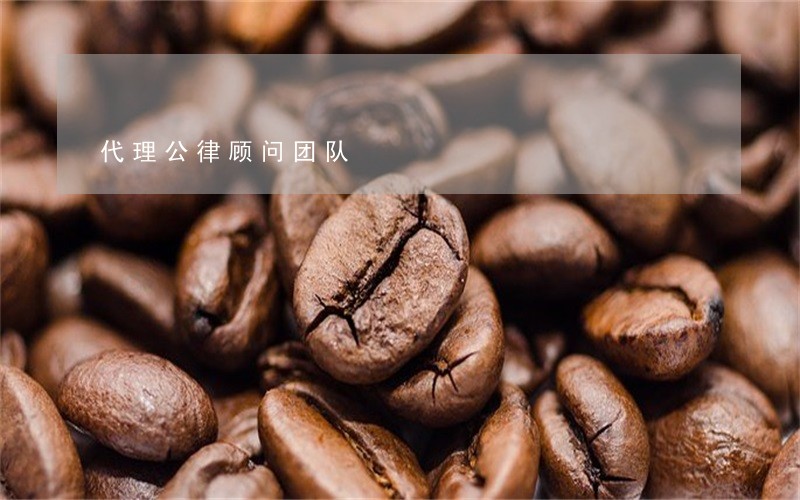代理公律顾问团队
