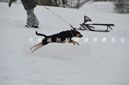 代理减刑辩护律师费怎么算 代理减刑辩护律师费怎么算