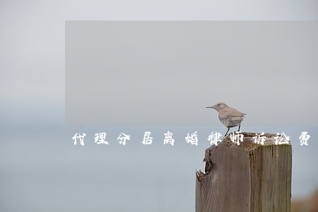 代理分居离婚律师诉讼费 代理分居离婚律师诉讼费