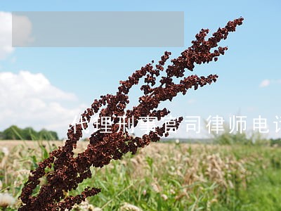 代理刑事官司律师电话 代理刑事官司律师电话