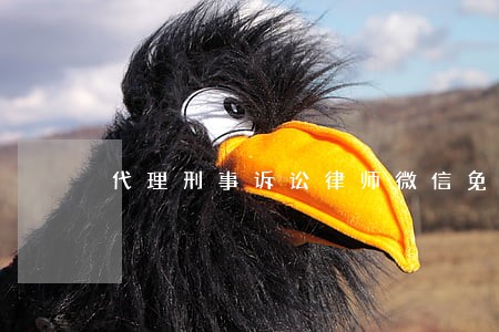 代理刑事诉讼律师微信免费咨询