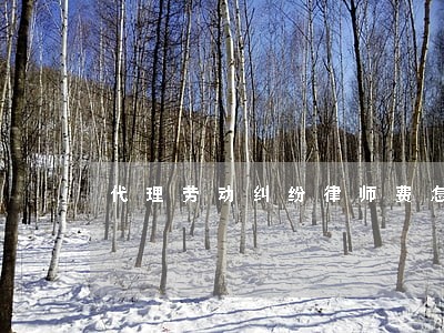 代理劳动纠纷律师费怎么算 代理劳动纠纷律师费怎么算