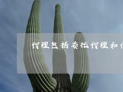 代理包括委托代理和什么代理 代理包括委托代理和什么代理