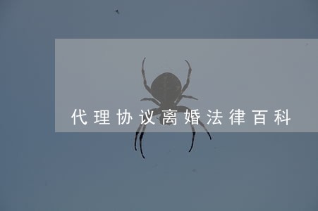 代理协议离婚法律百科 代理协议离婚法律百科
