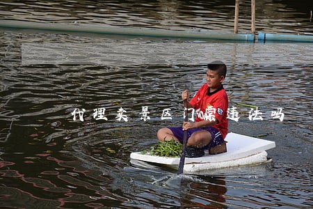 代理卖景区门票违法吗 代理卖景区门票违法吗
