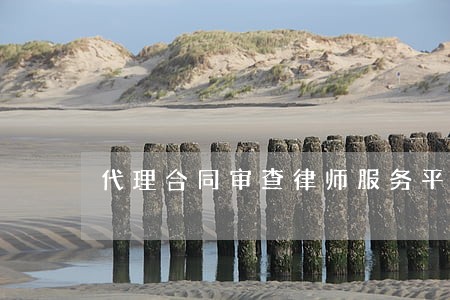代理合同审查律师服务平台 代理合同审查律师服务平台