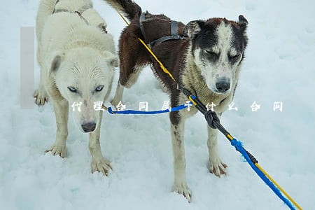 代理合同属于什么合同 代理合同属于什么合同