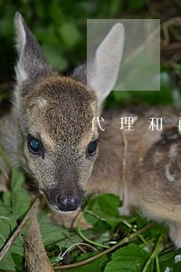 代理和再代理的法律关系