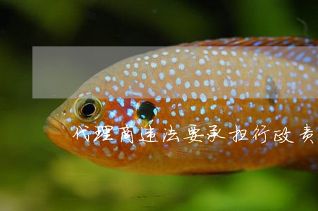代理商违法要承担行政责任吗 代理商违法要承担行政责任吗