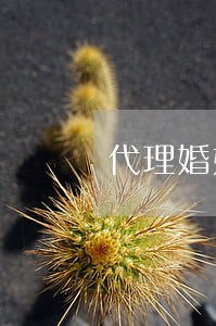代理婚姻律师委托收费 代理婚姻律师委托收费