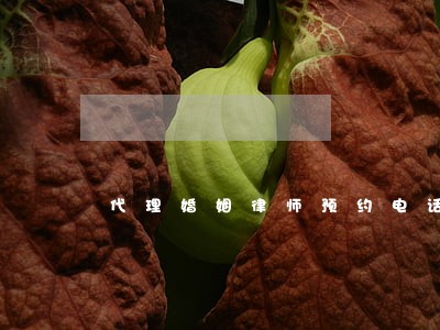 代理婚姻律师预约电话 代理婚姻律师预约电话